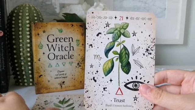 Green Witch Oracle | Unboxing & Flip Through смотреть онлайн