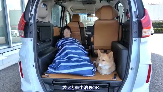本田 Honda freed dog lover 狗狗版本 смотреть онлайн