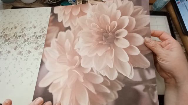 Shopping Haul Action und @temu смотреть онлайн