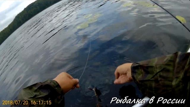 Ловля щуки на Rapala Minnow Spoon . Незацепляйка Рапала. Rapala shad rap смотреть онлайн