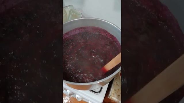 Черника, варим варенье, - 4 часть, 12 июля 2020 г. смотреть онлайн