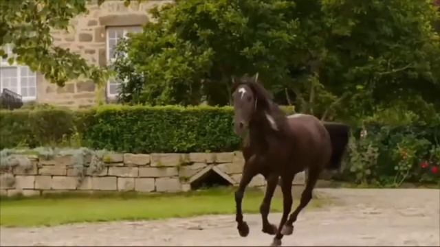 Оствинд ( восточный ветер) смотреть онлайн