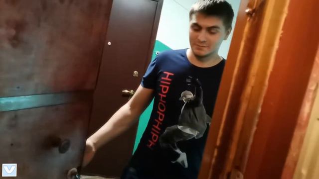 СЮП Выпуск #2 . ( Когда пришло время отдыхать ) смотреть онлайн