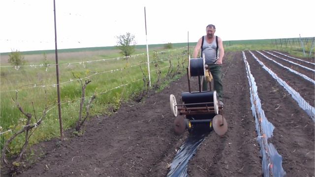 Самодельный комбайн для закладки школки винограда смотреть онлайн