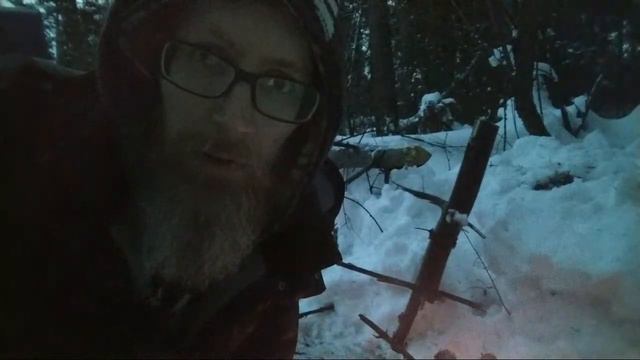 2.02.2022 - Стрим. Лес. Привет 🙂🙌☀️🌲 смотреть онлайн