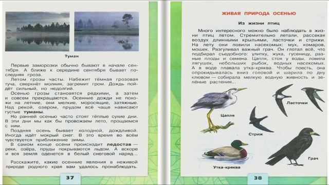 В гости к осени. Окружающий мир. 2 класс, 1 часть. Учебник А. Плешаков стр. 36-39 смотреть онлайн