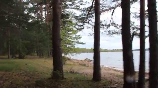 Берег Жижицкого озера в Подозерье (май 2012 г.) смотреть онлайн