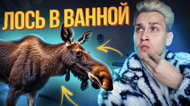 Самые странные обнаружения животных в доме человека смотреть онлайн