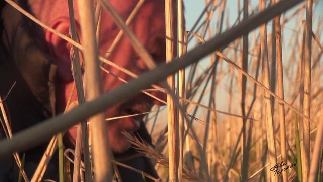 Гуси смотреть онлайн