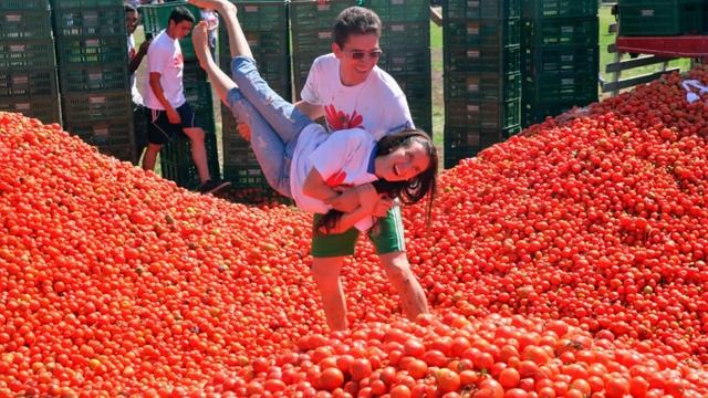 Кратко и просто о помидоре смотреть онлайн