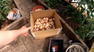 ?ХИЩНИКИ АТАКУЮТ / НЕСЕМ ПОТЕРИ / Подарили мангал / Сад и огород / Сенокос / Отдых в деревне