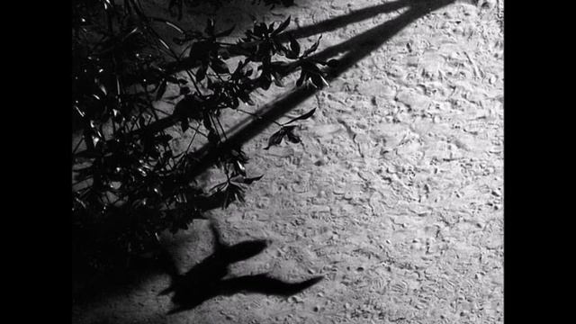 Max Richter - Shadow Journal смотреть онлайн