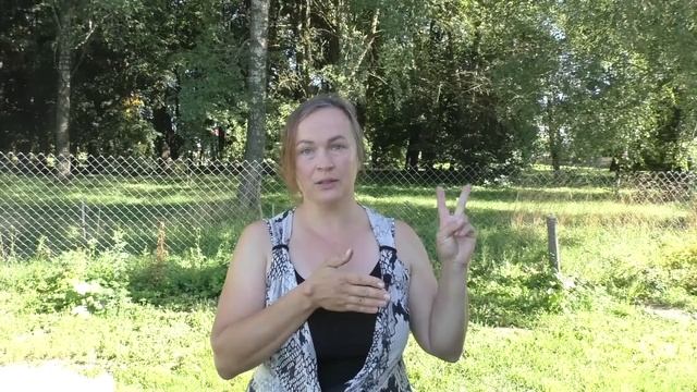 Виноградник после дождей. Есть ли болезни? Методы защиты при созревании урожая