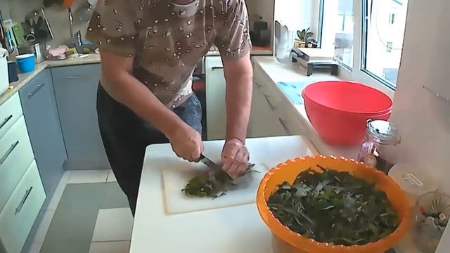 ИВАН ЧАЙ своими руками ВСЕ за 20 мин. СБОР , ПОДВЯЛИВАНИЕ , ПРОЦЕСС БРОЖЕНИЯ , ФЕРМЕНТАЦИЯ, ПРОЖАРК смотреть онлайн