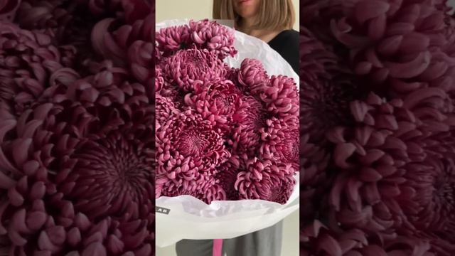 Авторский монобукет из одноголовой хризантемы Purple Bigoudi 1 - Обзор смотреть онлайн