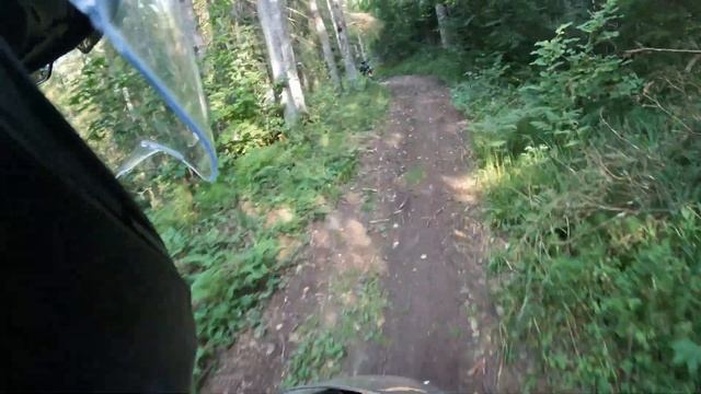 Trans Euro Trail TET Estonia на Kawasaki Versus 650. Леса.