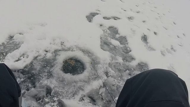 Первый лёд 2021-2022. Верховья Белоярки. Открытие сезона смотреть онлайн