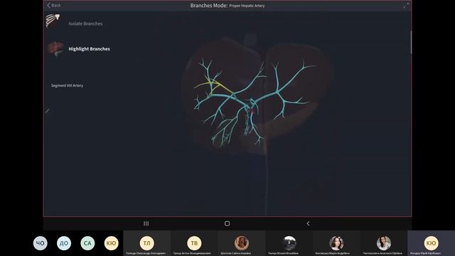 Запис пояснення печінки, підшлункової та жовчовивідних шляхів смотреть онлайн