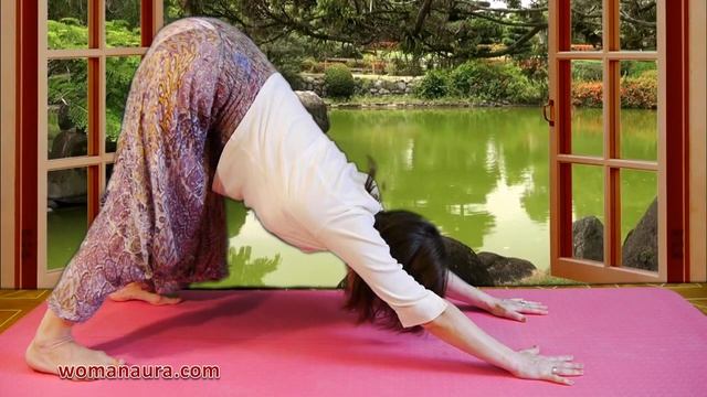 поза Собака мордой вниз йога видео | Адхо мукха шванасана поза горка смотреть онлайн