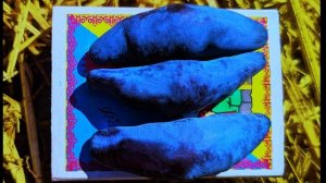 ЛУЧШИЕ СОРТА ЖИМОЛОСТИ: Восторг, Бакчарский Великан, Бакчарская Юбилейная, Дочь Великана,Югана,Атут