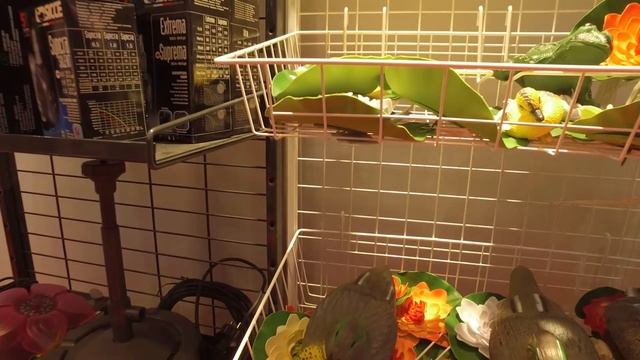 ГК «ГЛОБУС Интернейшнл» на выставке DACHA OUTDOOR-2018 смотреть онлайн