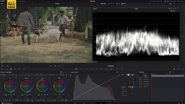 Как работает инструмент Waveform в Davinci Resolve I Waveform monitor explained смотреть онлайн