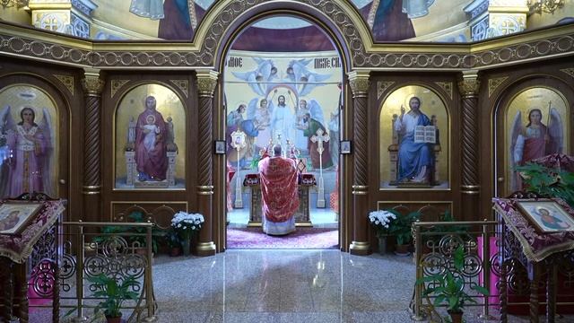 Прямая трансляция: Божественная литургия. Воскресенье 8 мая 2022.