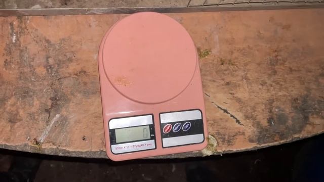 600 граммовый Техасский Бройлерный перепел. Взвешивание, выбраковка и подбор родительского стада. смотреть онлайн