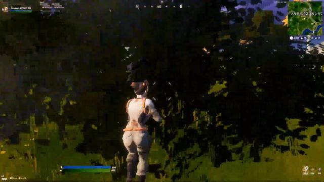FNCS CHAMPION AXE GAMEPLAY /24 hz challenge смотреть онлайн