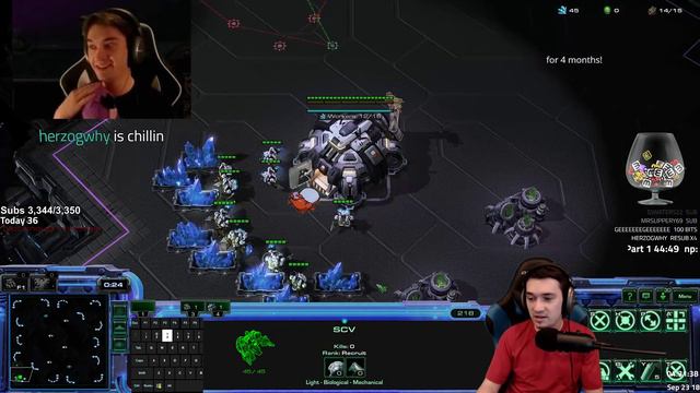 Learn Starcraft - Scouting Basics, Build Orders & Gameplay (Live Guide Hr #2) Terran, Zerg & Protos смотреть онлайн