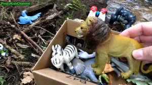 Box filled with various Zoo Animal Toys  🐧