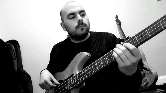 Human Nature - Michael Jackson. Bass cover 🎸 смотреть онлайн