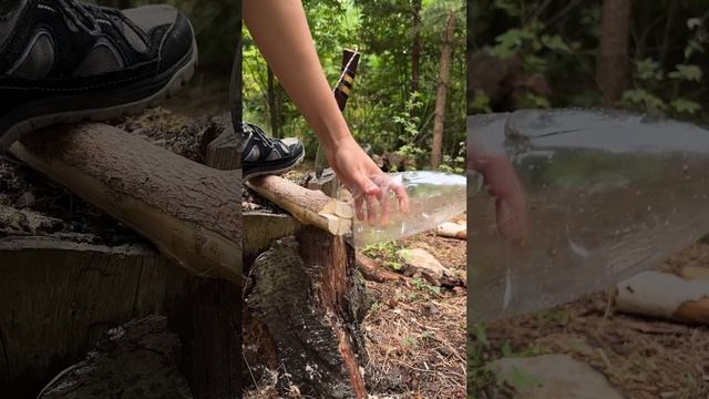 NEW invention from the FOREST GIRL #camping #survival #bushcraft #outdoors #marusya #shiklina смотреть онлайн