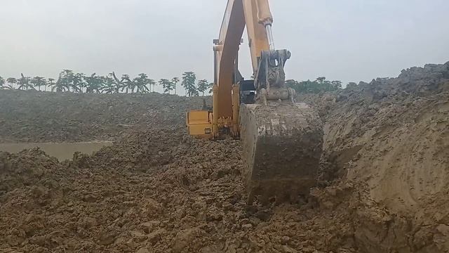 E200B VS MS CAT 180/2023