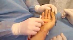 Кисть, как работают сухожилия