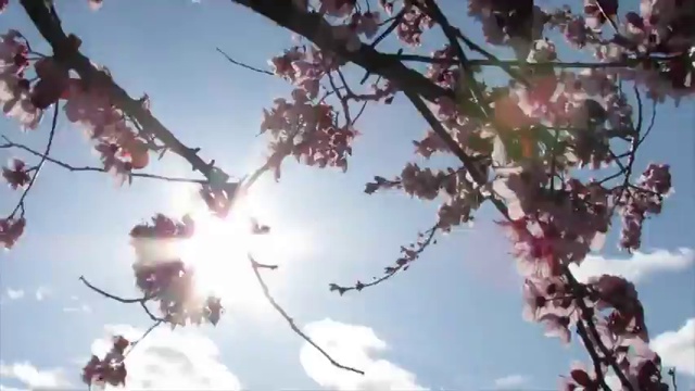 Ветренный понедельник смотреть онлайн