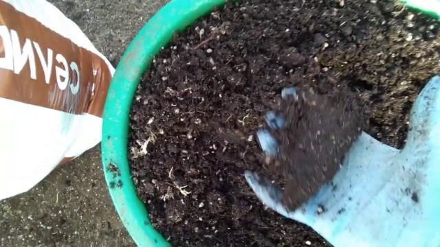 # 14.Почвосмесь для пеларгонии. смотреть онлайн