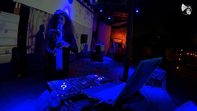 DELADY • Psychedelic Spooky Live Set at @Tropidelia | Organic Downtempo Techno | Groovy Trippy Musi смотреть онлайн