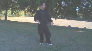 24 формы тайчи