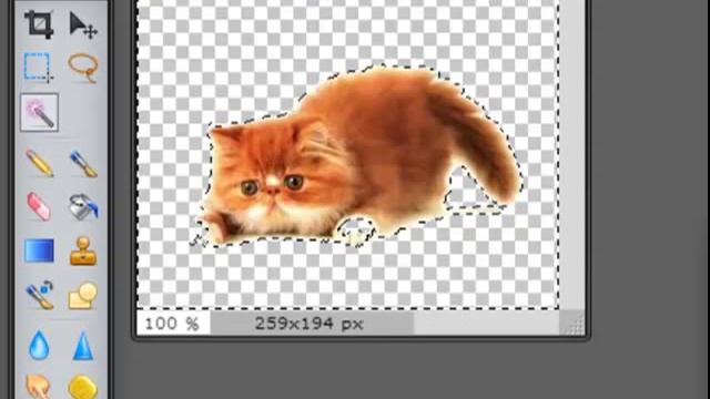 Как сделать фон рисунка прозрачным? Без фотошоп смотреть онлайн