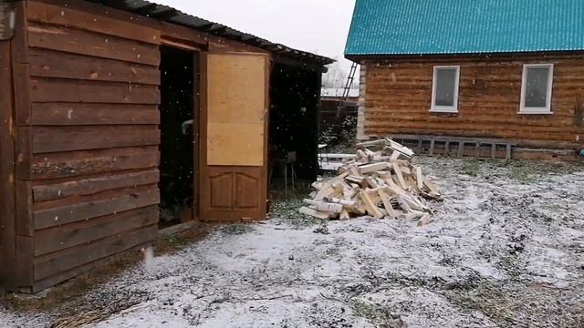 Ничья собака прячется от снега смотреть онлайн