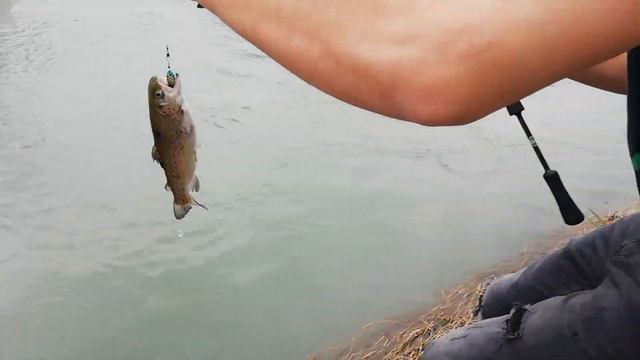 Форель, река сочи смотреть онлайн