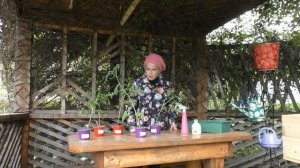 Спасаем томаты от "старения"!