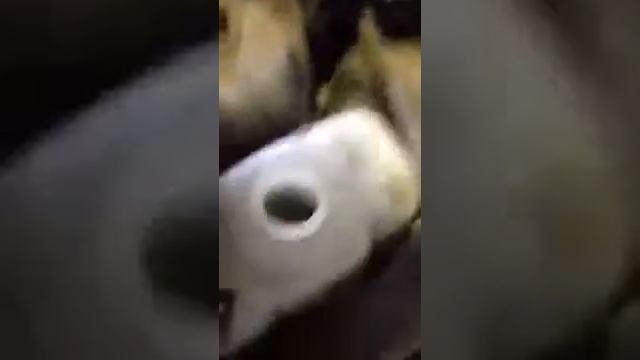 Контрактный двигатель Volvo S/V-70 1997-2001 Универсал АКПП (авт.) Бензин 2.5 л Инжектор 1999 смотреть онлайн