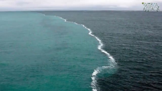 ЧУДЕСА АЛЛАХА КОТОРЫЕ ПОРАЗЯТ ВАС! РЕАКЦИЯ ВОРОНЫ НА КОРАН! смотреть онлайн