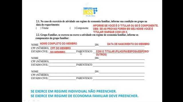 Como Preencher a AUTODECLARAÇÃO RURAL do INSS (FORMA CORRETA E SEM ERROS) смотреть онлайн
