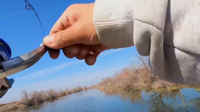 МЫНАНДАЙ ШОРТАНДАР ҚАРМАҚҚА ТҮСЕМА? | Көктемгі шортан аулау | смотреть онлайн