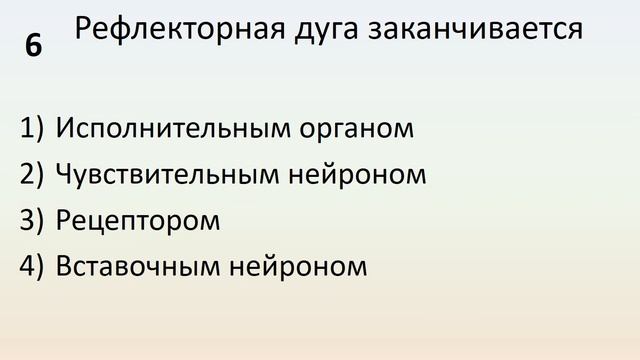 Б8 02 Координация и регуляция