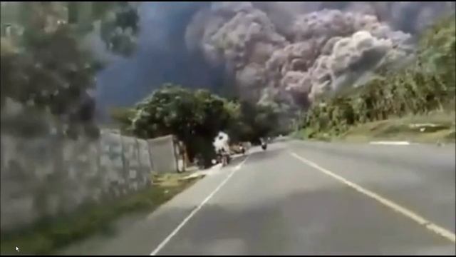 Nature's Power/Must See смотреть онлайн