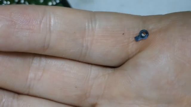 ремонт телевизора shivaki lcd-1910dvd не включается смотреть онлайн